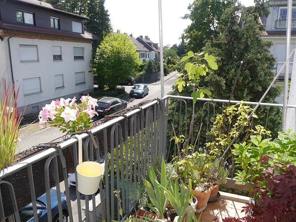 Aussicht vom Balkon Aussicht vom Balkon