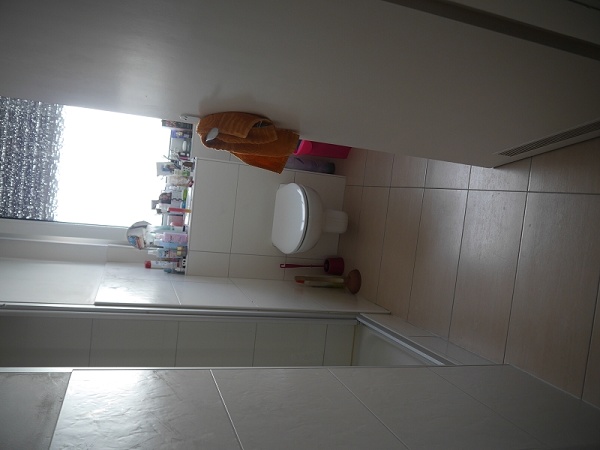 Tageslichtbadezimmer Tageslichtbadezimmer